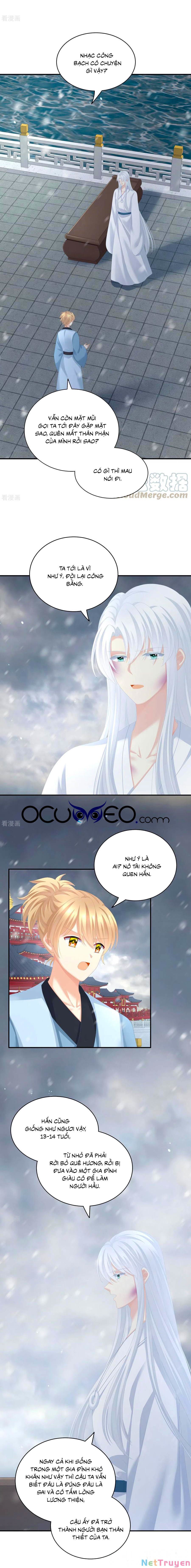 đọc truyện Hậu Cung Của Nữ Đế Chương 252 ảnh 5 tại Thiên Thai Truyện