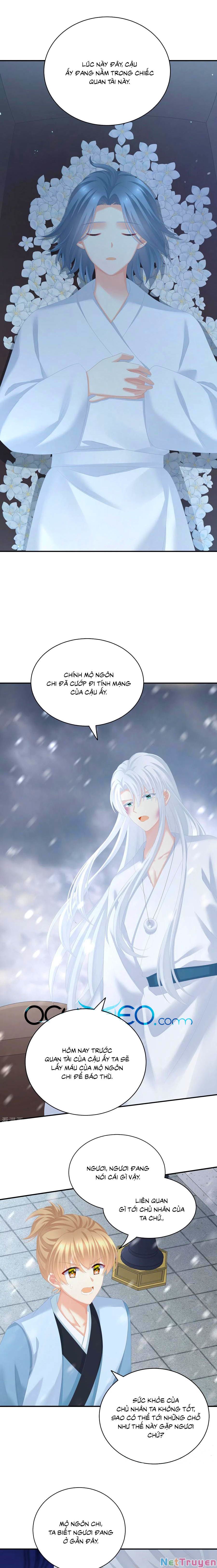 đọc truyện Hậu Cung Của Nữ Đế Chương 252 ảnh 6 tại Thiên Thai Truyện