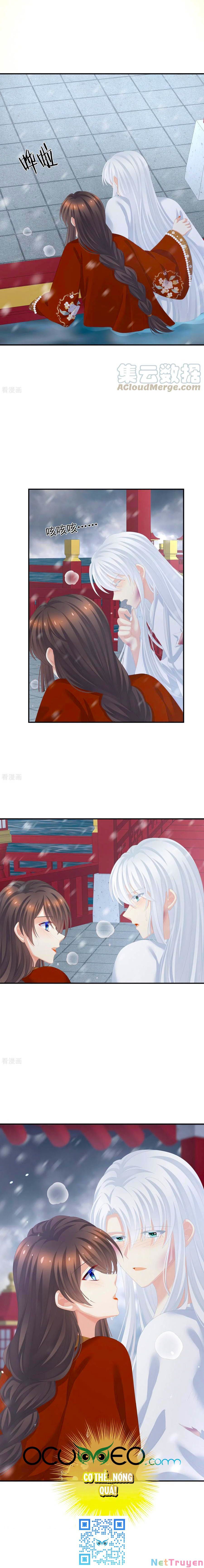 đọc truyện Hậu Cung Của Nữ Đế Chương 254 ảnh 12 tại Thiên Thai Truyện