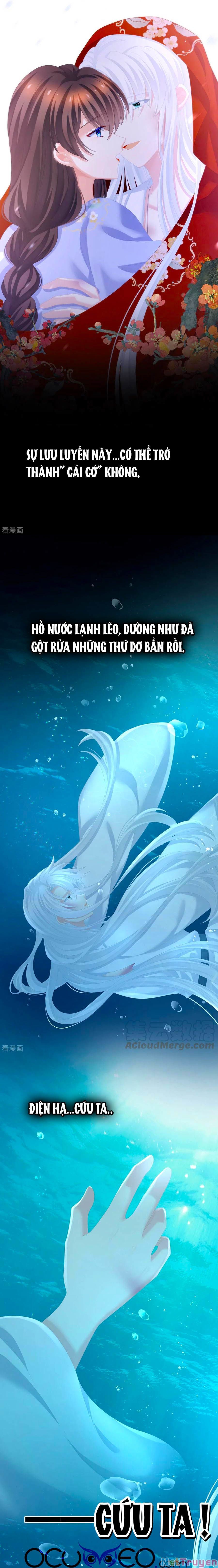 đọc truyện Hậu Cung Của Nữ Đế Chương 254 ảnh 9 tại Thiên Thai Truyện