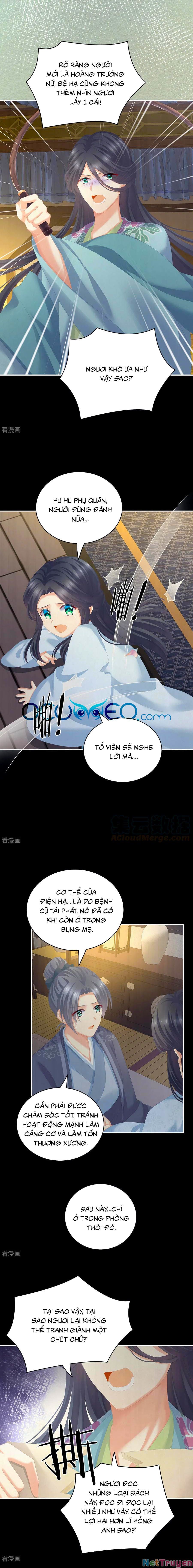 đọc truyện Hậu Cung Của Nữ Đế Chương 258 ảnh 4 tại Thiên Thai Truyện