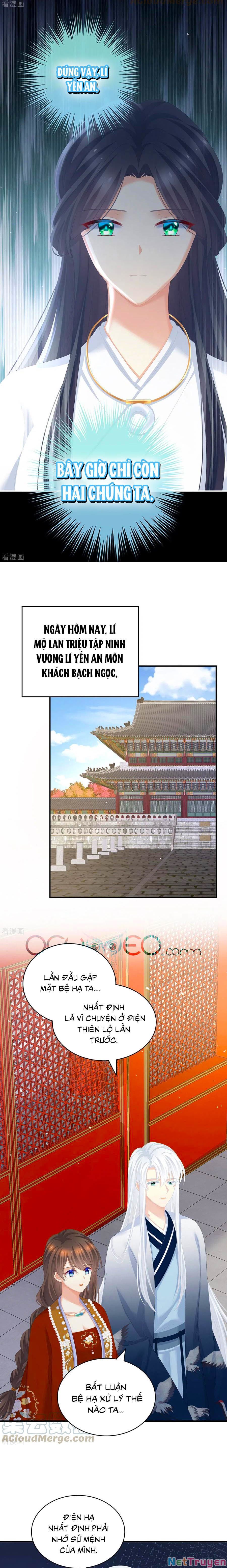 đọc truyện Hậu Cung Của Nữ Đế Chương 258 ảnh 6 tại Thiên Thai Truyện