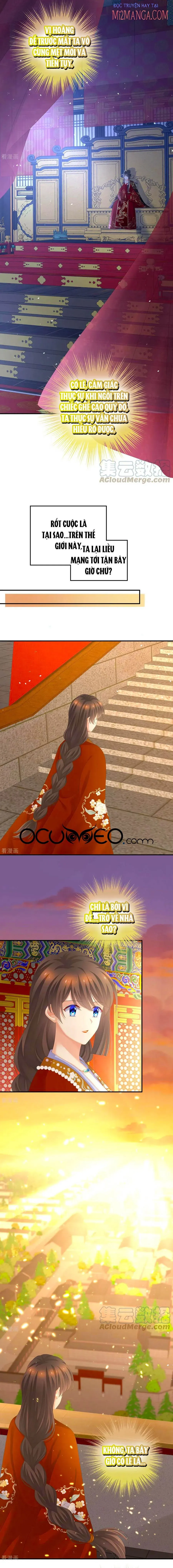 đọc truyện Hậu Cung Của Nữ Đế Chương 259.5 ảnh 4 tại Thiên Thai Truyện