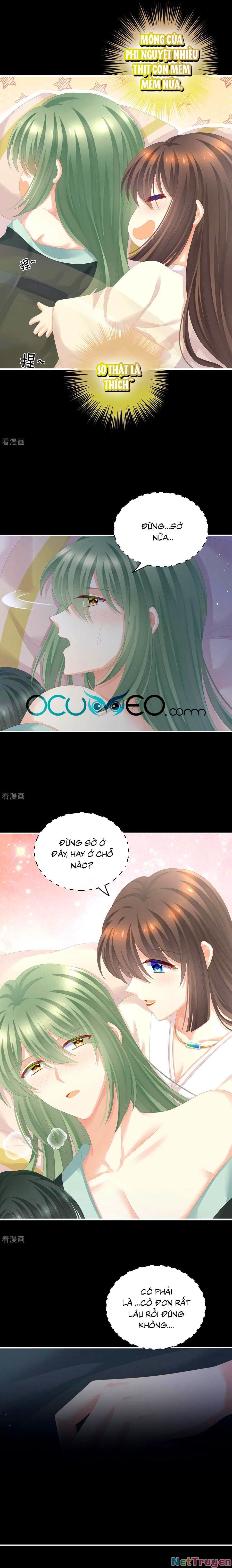 đọc truyện Hậu Cung Của Nữ Đế Chương 261 ảnh 5 tại Thiên Thai Truyện