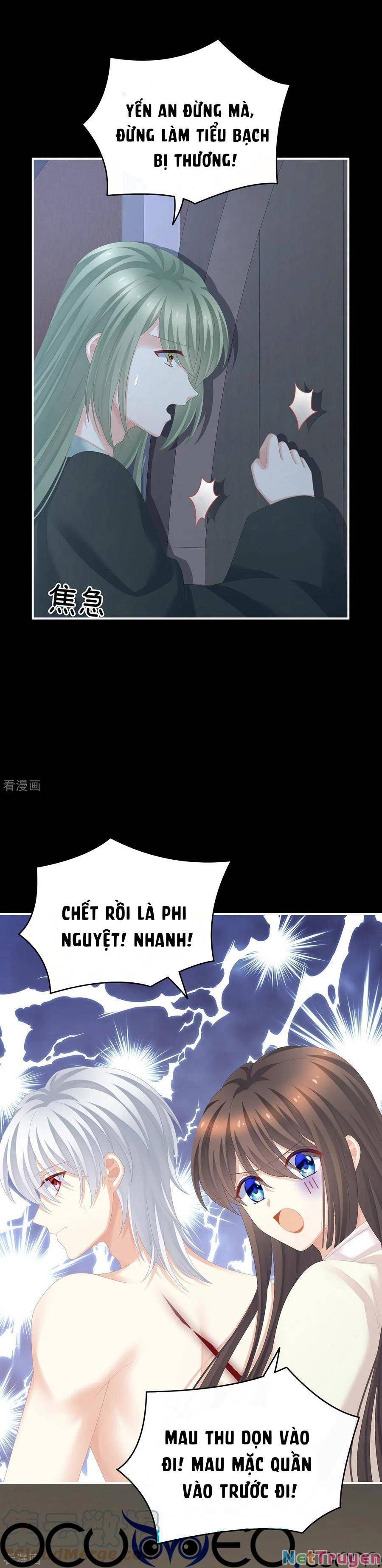 đọc truyện Hậu Cung Của Nữ Đế Chương 272 ảnh 11 tại Thiên Thai Truyện