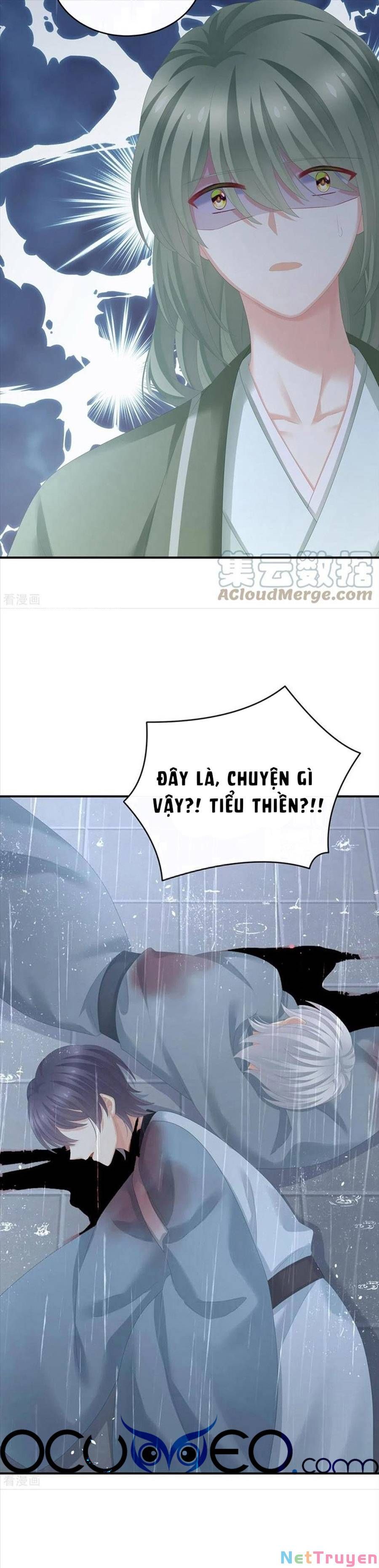 đọc truyện Hậu Cung Của Nữ Đế Chương 273 ảnh 13 tại Thiên Thai Truyện