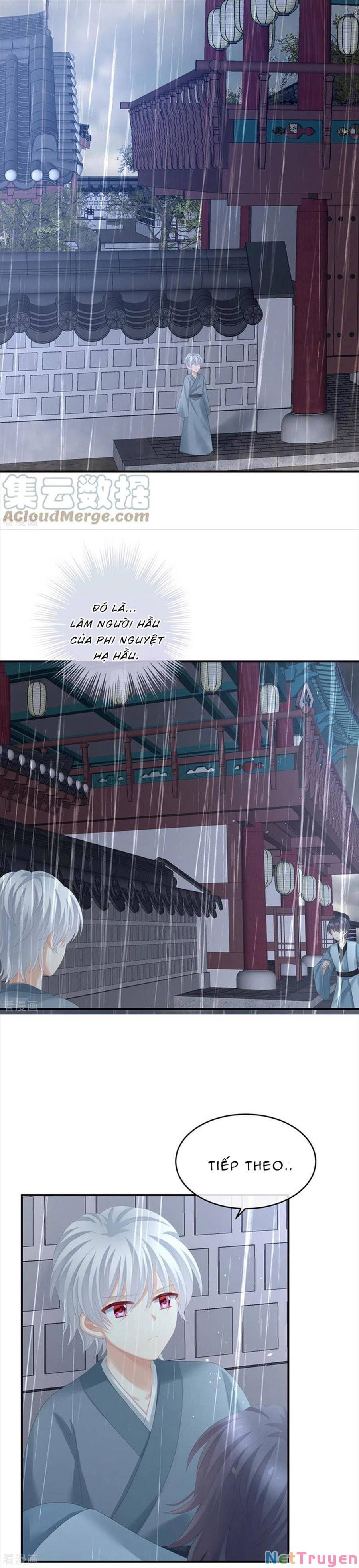 đọc truyện Hậu Cung Của Nữ Đế Chương 273 ảnh 11 tại Thiên Thai Truyện