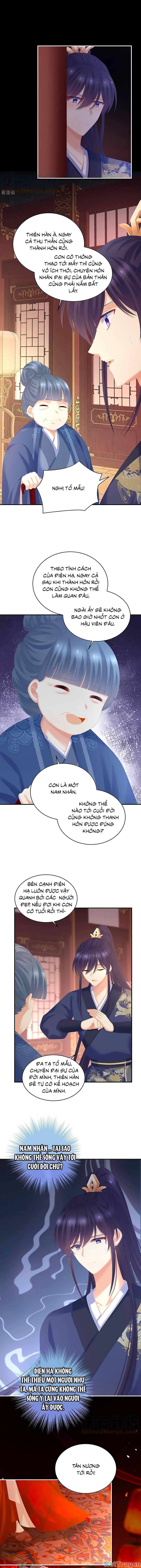 đọc truyện Hậu Cung Của Nữ Đế Chương 281 ảnh 8 tại Thiên Thai Truyện