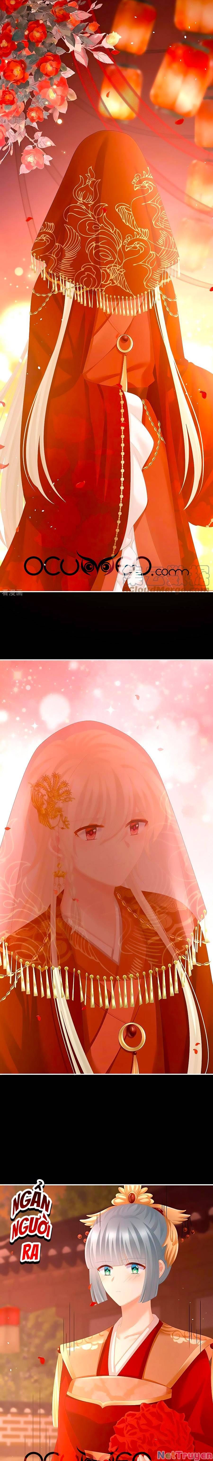 đọc truyện Hậu Cung Của Nữ Đế Chương 281 ảnh 9 tại Thiên Thai Truyện