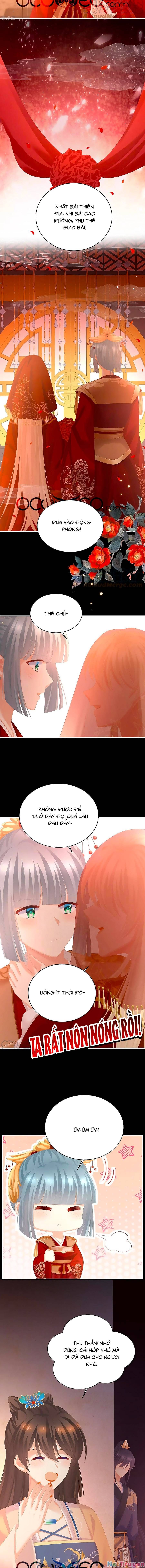 đọc truyện Hậu Cung Của Nữ Đế Chương 281 ảnh 10 tại Thiên Thai Truyện