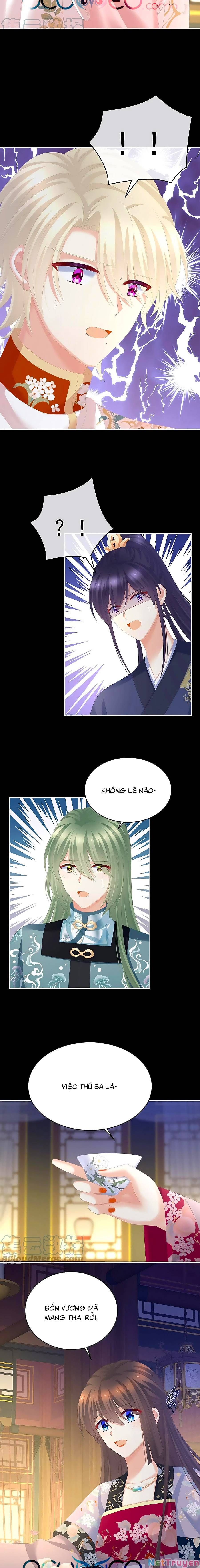 đọc truyện Hậu Cung Của Nữ Đế Chương 288 ảnh 8 tại Thiên Thai Truyện