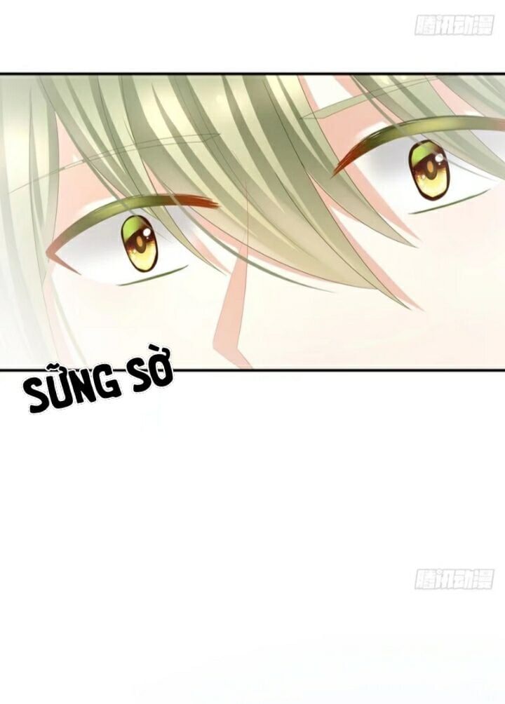 đọc truyện Hậu Cung Của Nữ Đế Chương 39 ảnh 16 tại Thiên Thai Truyện