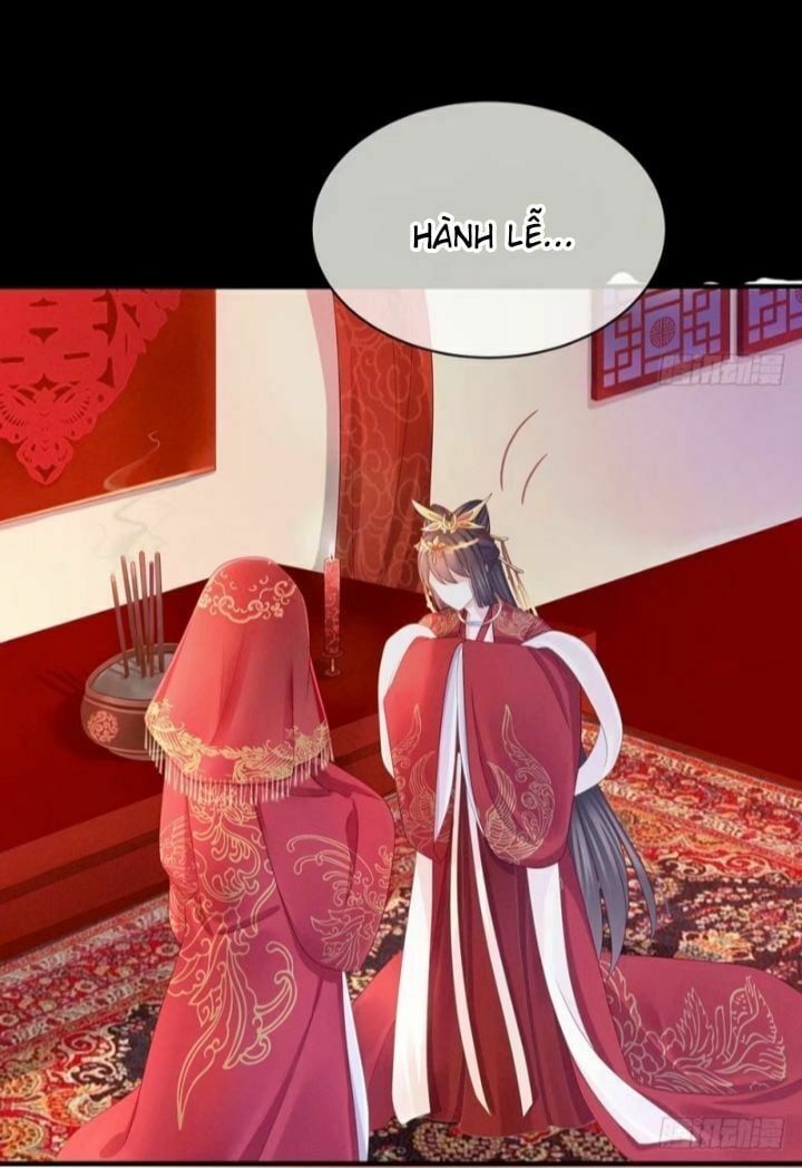 đọc truyện Hậu Cung Của Nữ Đế Chương 53 ảnh 33 tại Thiên Thai Truyện