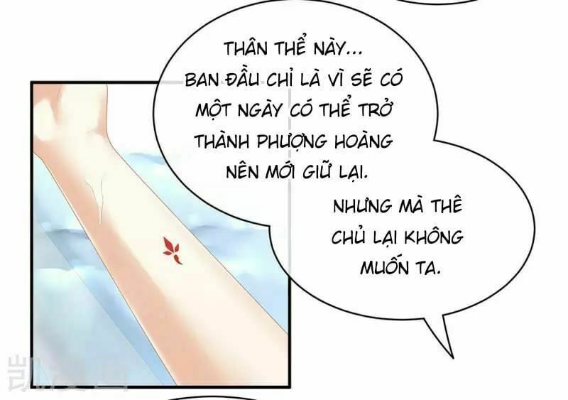 đọc truyện Hậu Cung Của Nữ Đế Chương 60 ảnh 4 tại Thiên Thai Truyện