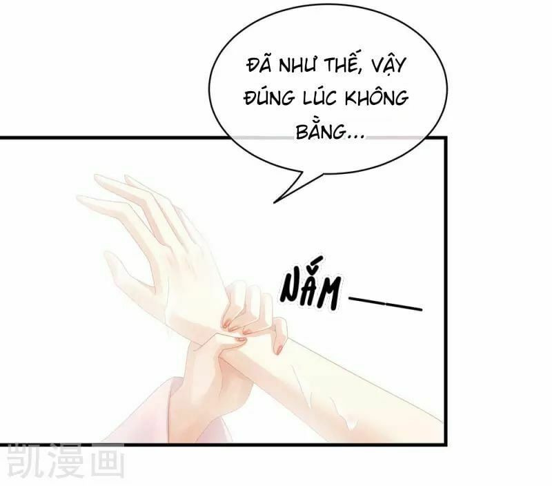 đọc truyện Hậu Cung Của Nữ Đế Chương 60 ảnh 22 tại Thiên Thai Truyện