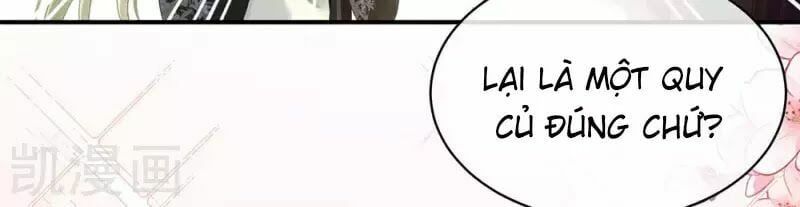 đọc truyện Hậu Cung Của Nữ Đế Chương 74 ảnh 19 tại Thiên Thai Truyện