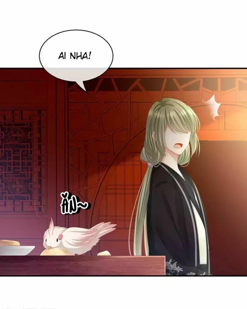 đọc truyện Hậu Cung Của Nữ Đế Chương 74 ảnh 56 tại Thiên Thai Truyện