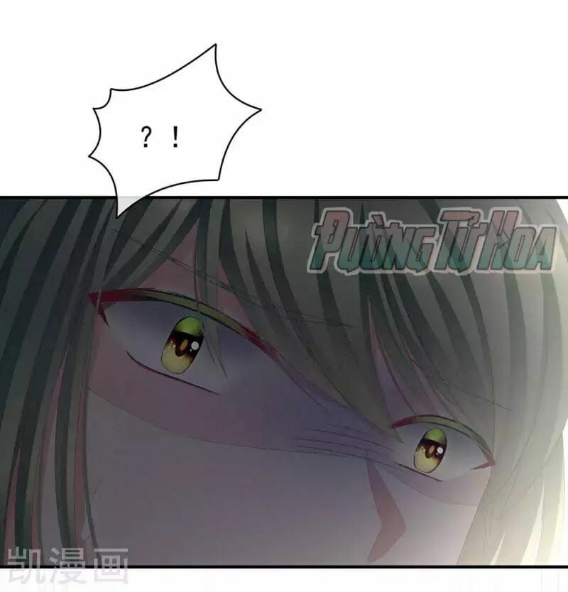 đọc truyện Hậu Cung Của Nữ Đế Chương 74 ảnh 62 tại Thiên Thai Truyện