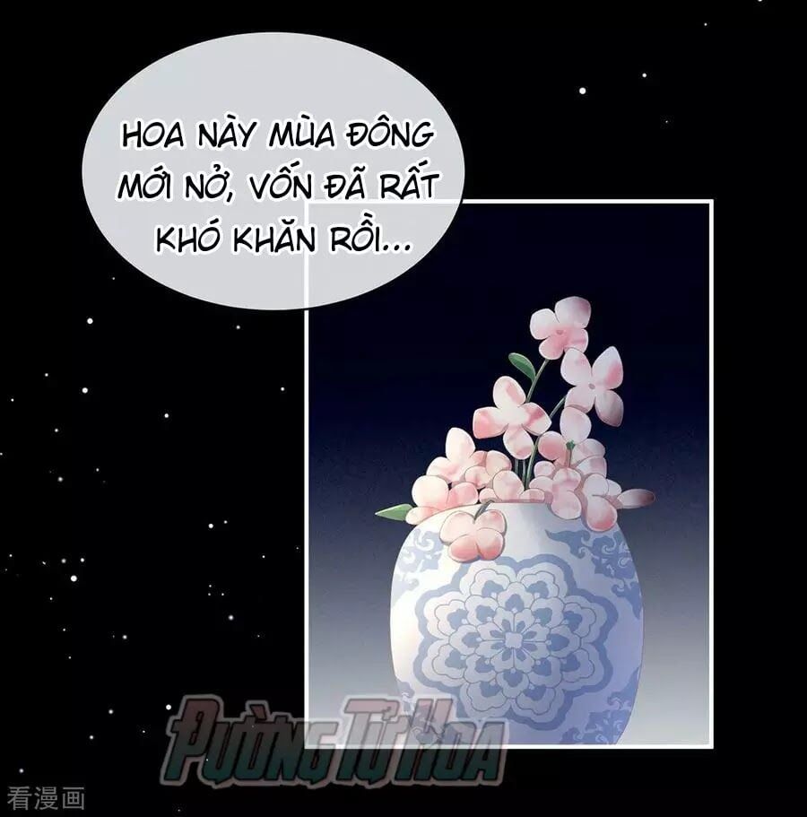 đọc truyện Hậu Cung Của Nữ Đế Chương 82 ảnh 48 tại Thiên Thai Truyện