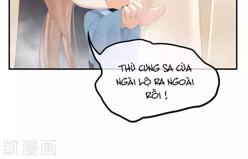 đọc truyện Hậu Cung Của Nữ Đế Chương 99 ảnh 17 tại Thiên Thai Truyện