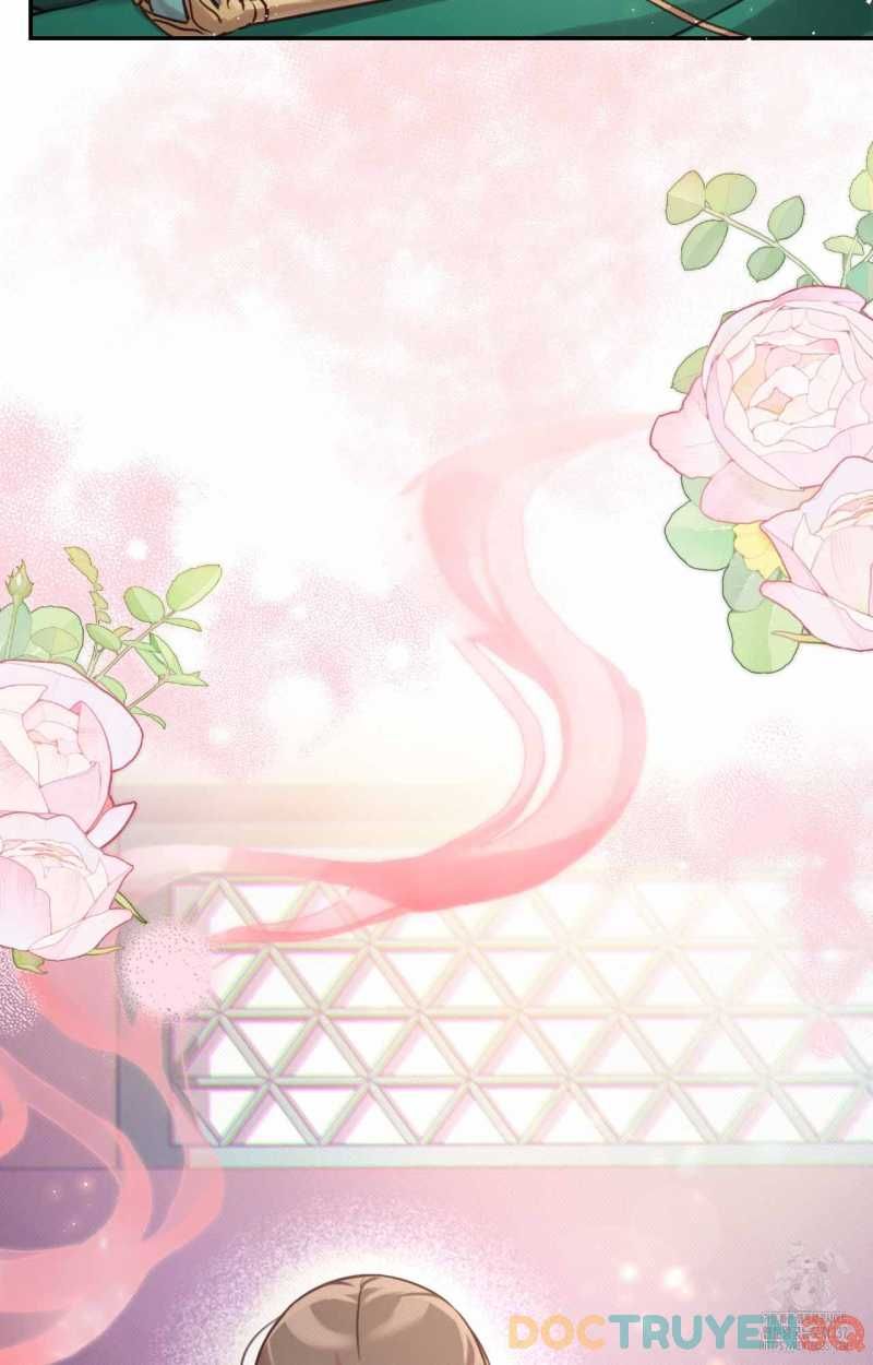 đọc truyện Hậu Cung Kế Chương 28.5 ảnh 22 tại Thiên Thai Truyện