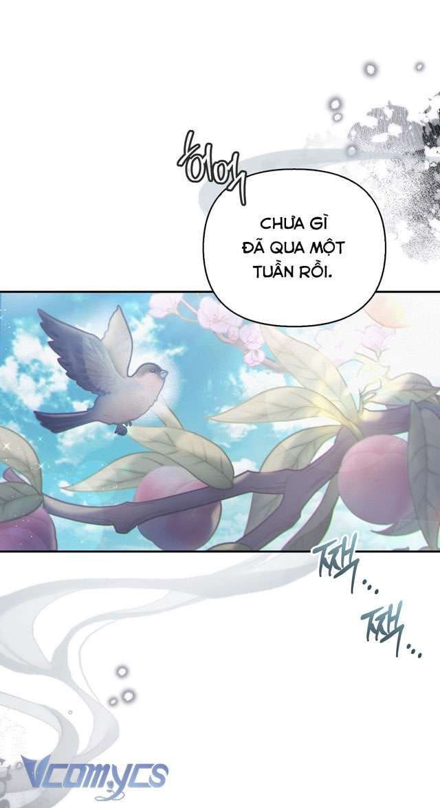 đọc truyện Hậu Cung Kế Chương 42 ảnh 7 tại Thiên Thai Truyện