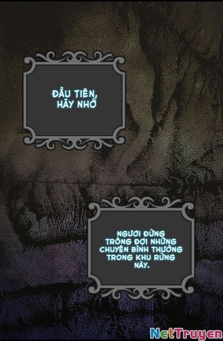 đọc truyện Hãy Bỏ Mặc Tôi Chương 20 ảnh 29 tại Thiên Thai Truyện