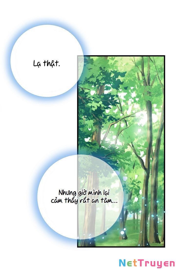 đọc truyện Hãy Bỏ Mặc Tôi Chương 21 ảnh 15 tại Thiên Thai Truyện