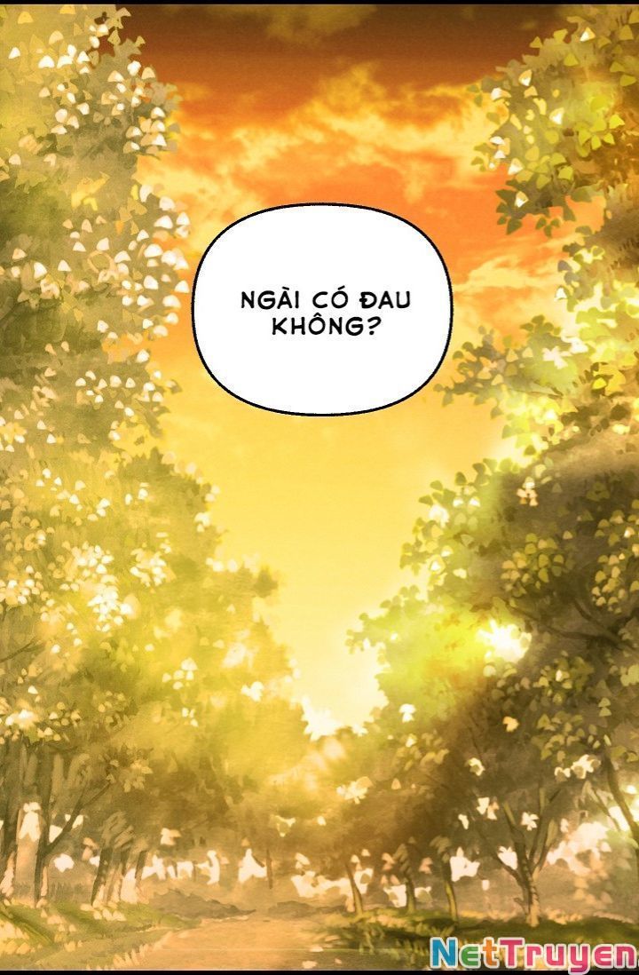 đọc truyện Hãy Bỏ Mặc Tôi Chương 24 ảnh 49 tại Thiên Thai Truyện