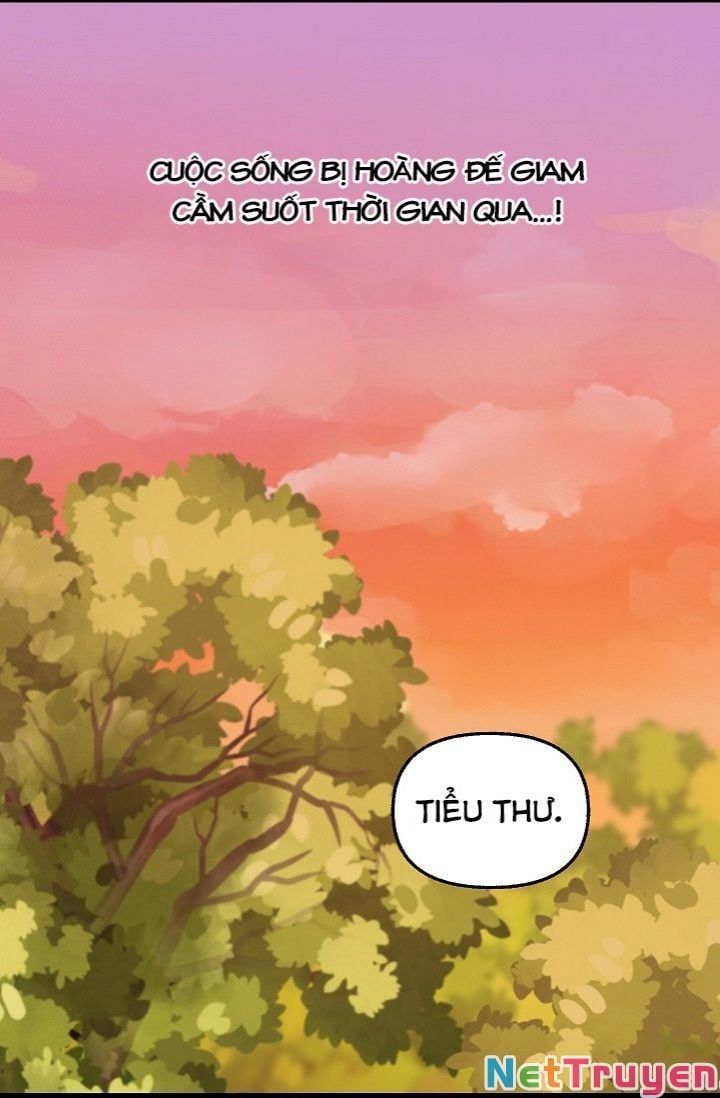 đọc truyện Hãy Bỏ Mặc Tôi Chương 25 ảnh 23 tại Thiên Thai Truyện