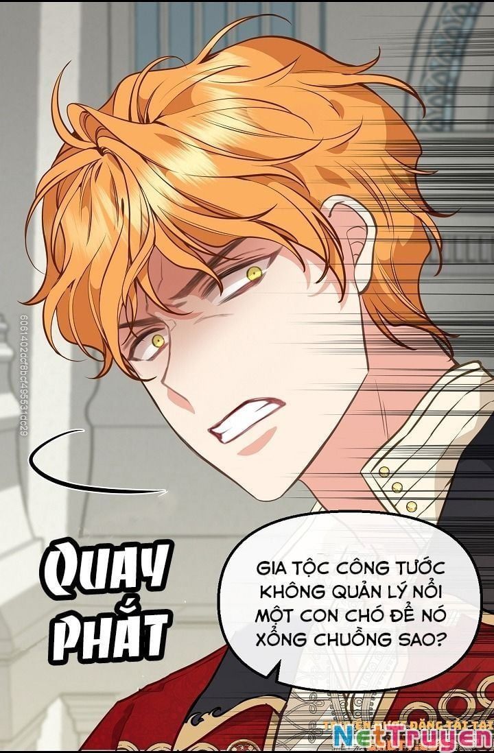 đọc truyện Hãy Bỏ Mặc Tôi Chương 44 ảnh 25 tại Thiên Thai Truyện