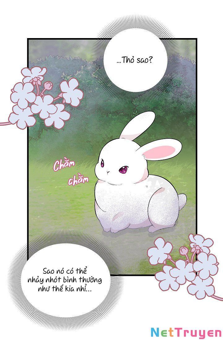 đọc truyện Hãy Bỏ Mặc Tôi Chương 63 ảnh 42 tại Thiên Thai Truyện