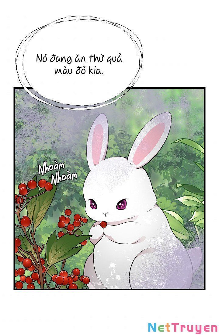 đọc truyện Hãy Bỏ Mặc Tôi Chương 63 ảnh 44 tại Thiên Thai Truyện