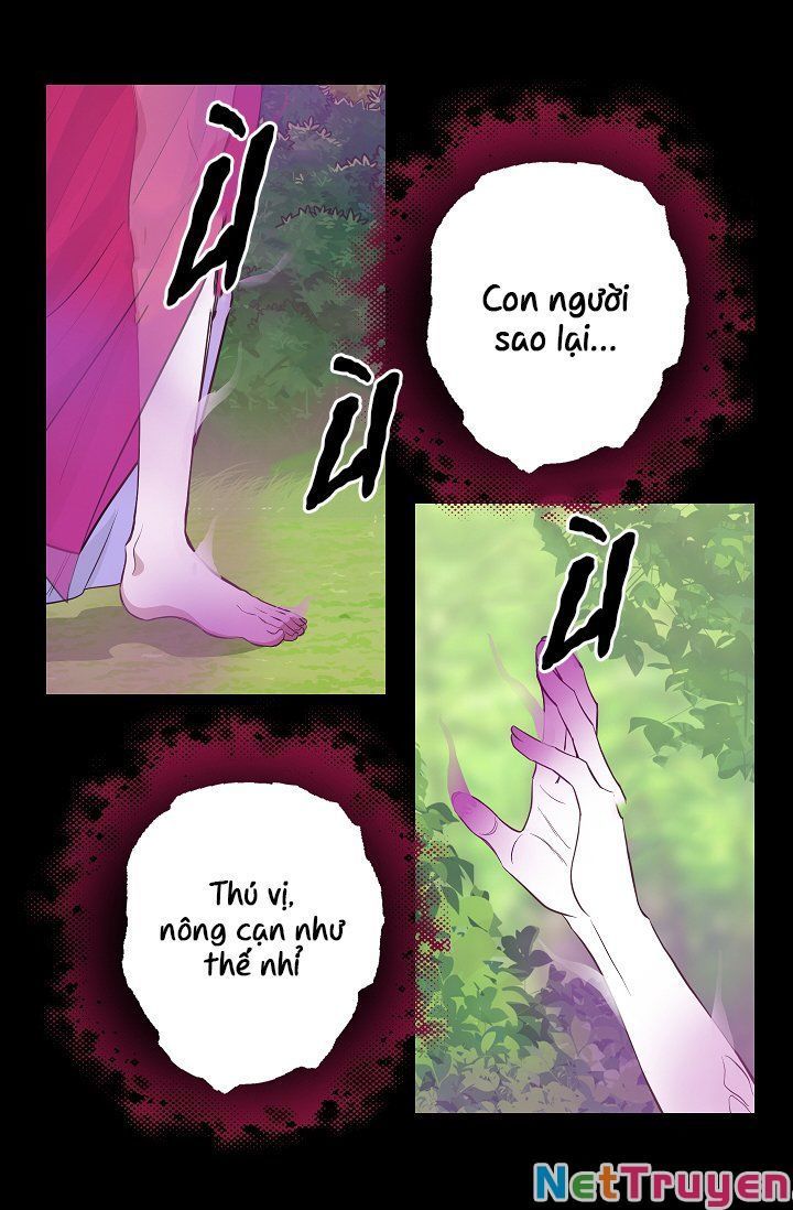 đọc truyện Hãy Bỏ Mặc Tôi Chương 63 ảnh 59 tại Thiên Thai Truyện