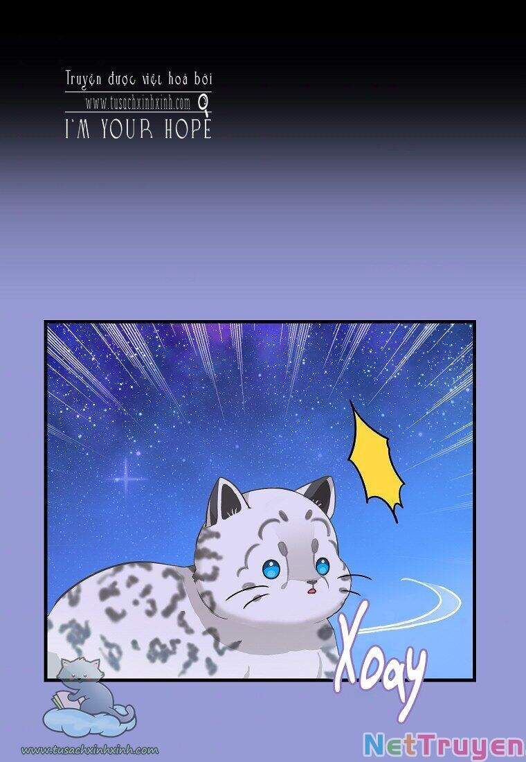 đọc truyện Hãy Bỏ Mặc Tôi Chương 75 ảnh 35 tại Thiên Thai Truyện