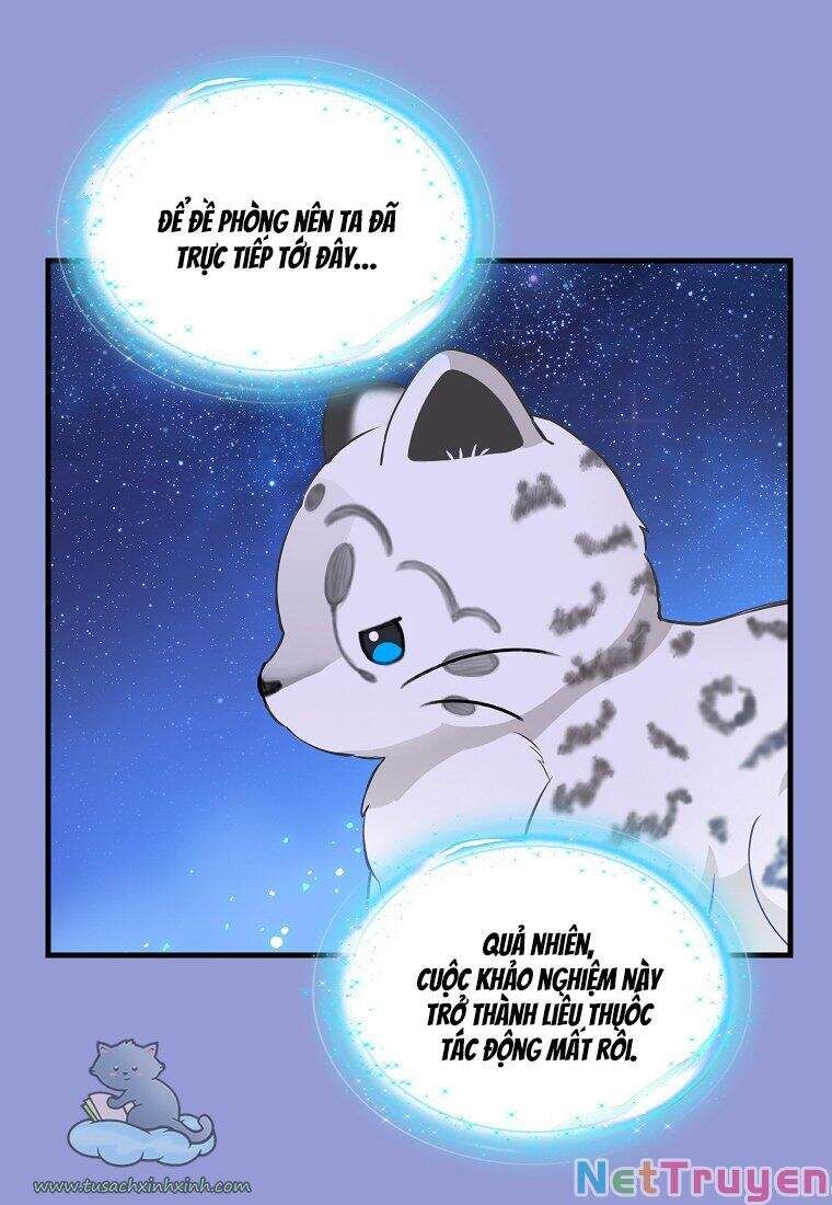 đọc truyện Hãy Bỏ Mặc Tôi Chương 75 ảnh 39 tại Thiên Thai Truyện