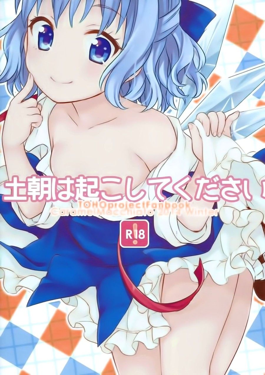 Hãy Đánh Thức Anh Dậy Vào Sáng Thứ 7 (touhou Project) Oneshot page 17 - Giả Dược