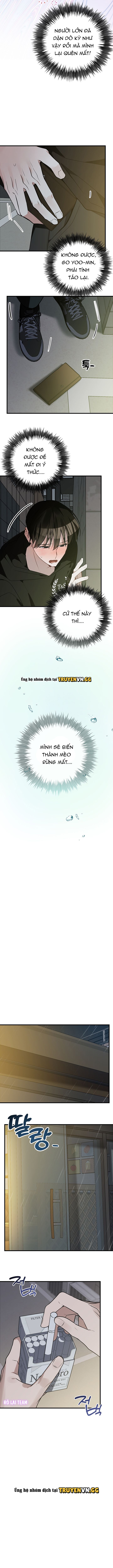 đọc truyện Hãy Sinh Cho Tôi Một Con Linh Miêu Con, Nếu Không Muốn Thấy Tôi Phát Điên! Chương 2 ảnh 21 tại Thiên Thai Truyện