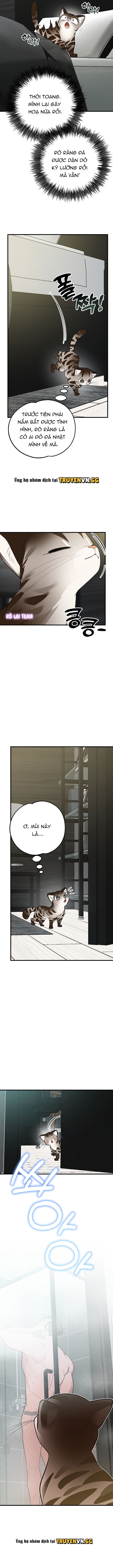 đọc truyện Hãy Sinh Cho Tôi Một Con Linh Miêu Con, Nếu Không Muốn Thấy Tôi Phát Điên! Chương 2 ảnh 4 tại Thiên Thai Truyện