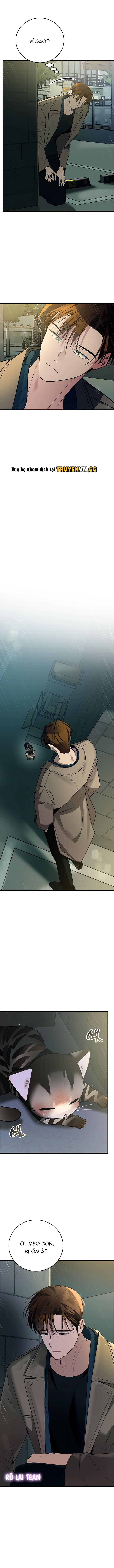 đọc truyện Hãy Sinh Cho Tôi Một Con Linh Miêu Con, Nếu Không Muốn Thấy Tôi Phát Điên! Chương 2 ảnh 23 tại Thiên Thai Truyện