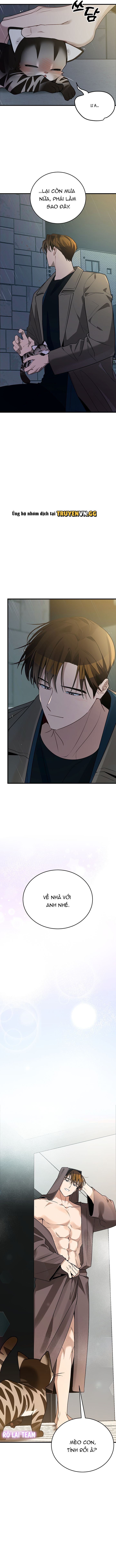 đọc truyện Hãy Sinh Cho Tôi Một Con Linh Miêu Con, Nếu Không Muốn Thấy Tôi Phát Điên! Chương 2 ảnh 24 tại Thiên Thai Truyện