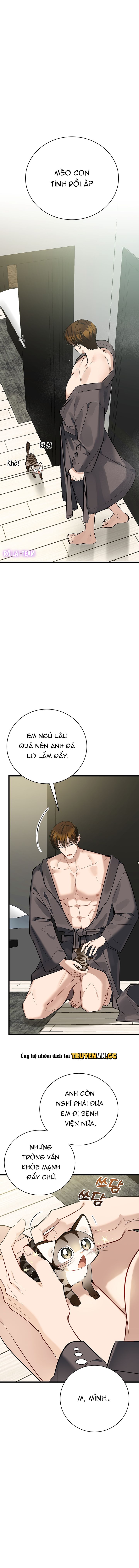 đọc truyện Hãy Sinh Cho Tôi Một Con Linh Miêu Con, Nếu Không Muốn Thấy Tôi Phát Điên! Chương 3 ảnh 2 tại Thiên Thai Truyện