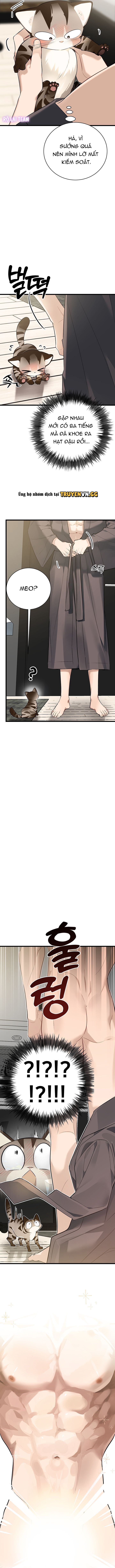 đọc truyện Hãy Sinh Cho Tôi Một Con Linh Miêu Con, Nếu Không Muốn Thấy Tôi Phát Điên! Chương 3 ảnh 4 tại Thiên Thai Truyện