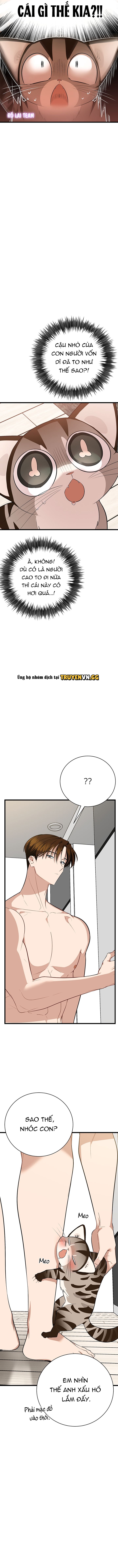 đọc truyện Hãy Sinh Cho Tôi Một Con Linh Miêu Con, Nếu Không Muốn Thấy Tôi Phát Điên! Chương 3 ảnh 5 tại Thiên Thai Truyện