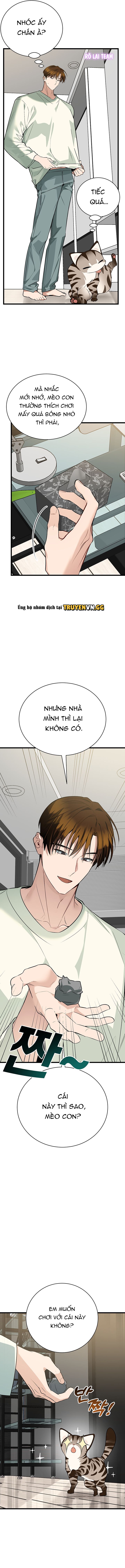 đọc truyện Hãy Sinh Cho Tôi Một Con Linh Miêu Con, Nếu Không Muốn Thấy Tôi Phát Điên! Chương 3 ảnh 6 tại Thiên Thai Truyện