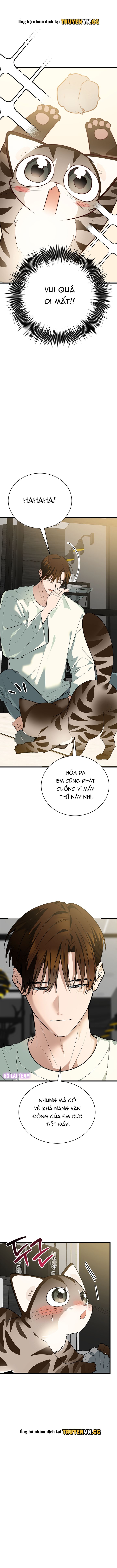 đọc truyện Hãy Sinh Cho Tôi Một Con Linh Miêu Con, Nếu Không Muốn Thấy Tôi Phát Điên! Chương 3 ảnh 8 tại Thiên Thai Truyện