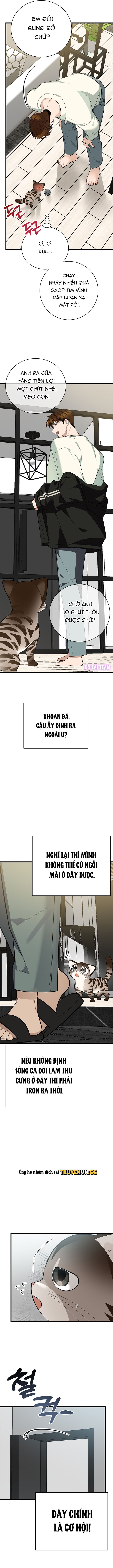 đọc truyện Hãy Sinh Cho Tôi Một Con Linh Miêu Con, Nếu Không Muốn Thấy Tôi Phát Điên! Chương 3 ảnh 9 tại Thiên Thai Truyện