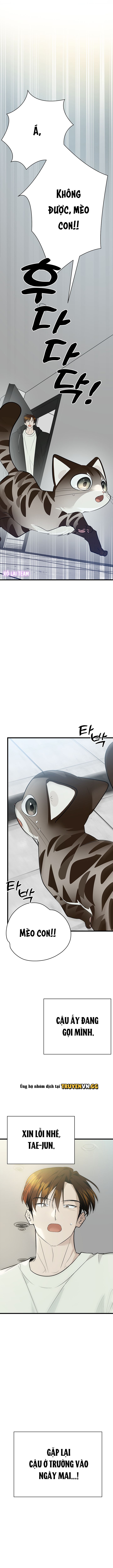 đọc truyện Hãy Sinh Cho Tôi Một Con Linh Miêu Con, Nếu Không Muốn Thấy Tôi Phát Điên! Chương 3 ảnh 10 tại Thiên Thai Truyện