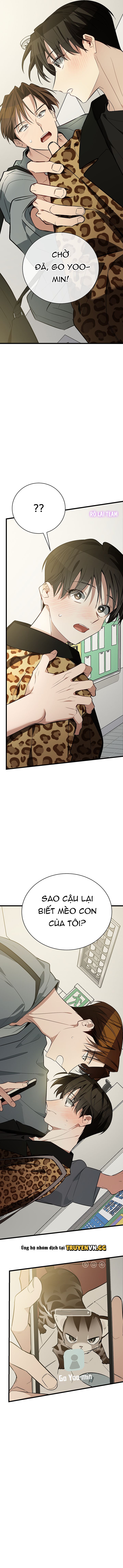 đọc truyện Hãy Sinh Cho Tôi Một Con Linh Miêu Con, Nếu Không Muốn Thấy Tôi Phát Điên! Chương 4 ảnh 17 tại Thiên Thai Truyện