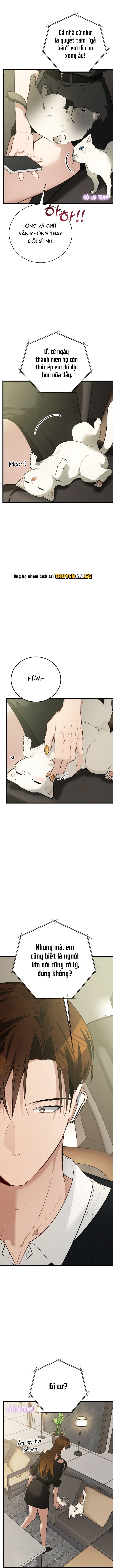 đọc truyện Hãy Sinh Cho Tôi Một Con Linh Miêu Con, Nếu Không Muốn Thấy Tôi Phát Điên! Chương 5 ảnh 6 tại Thiên Thai Truyện